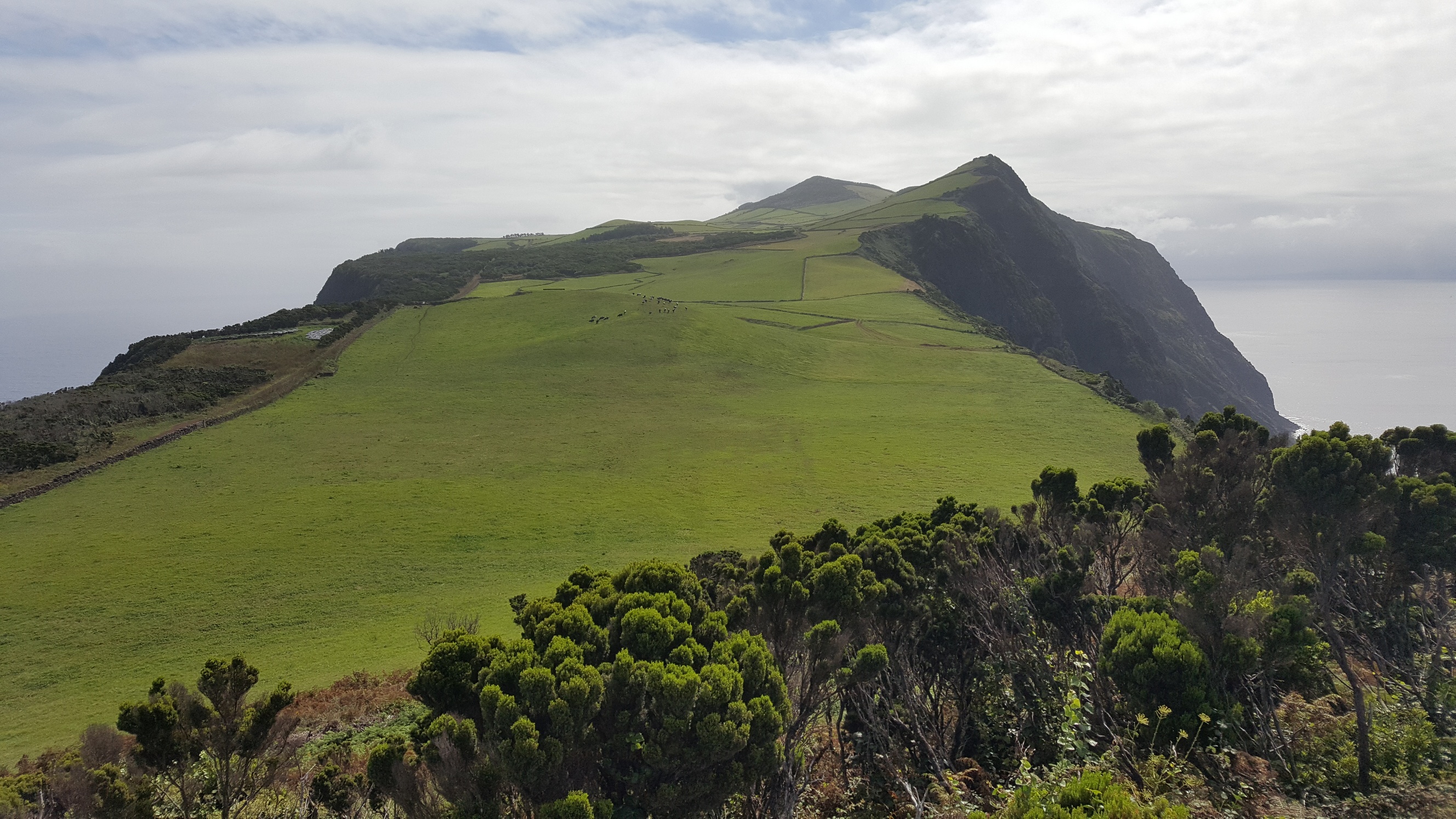 Portugal Azores Sao Jorge, Rosais Cape, Looking east along the peninsula, Walkopedia