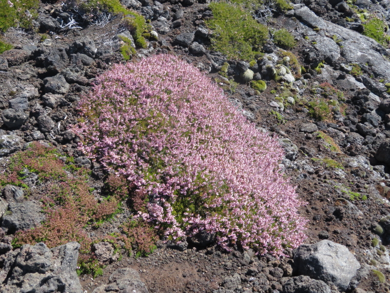 Portugal Azores Pico, Pico Volcano, , Walkopedia