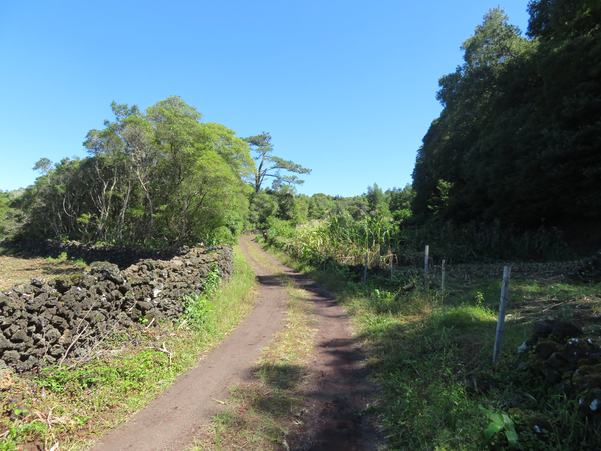 Portugal Azores Pico, Picos Historic Vineyards, , Walkopedia