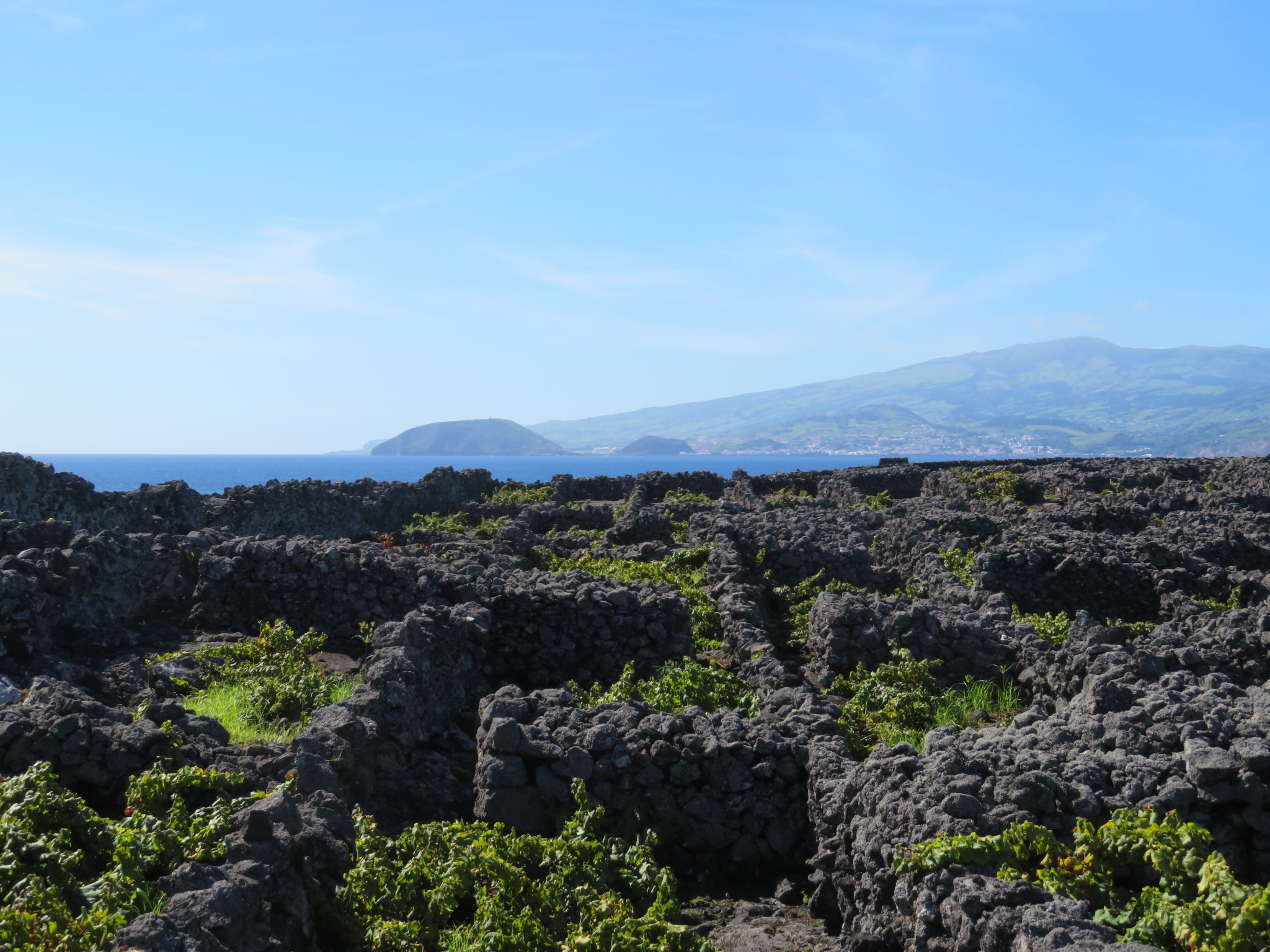 Portugal Azores Pico, Picos Historic Vineyards, Across Vineyards to Faial, Walkopedia