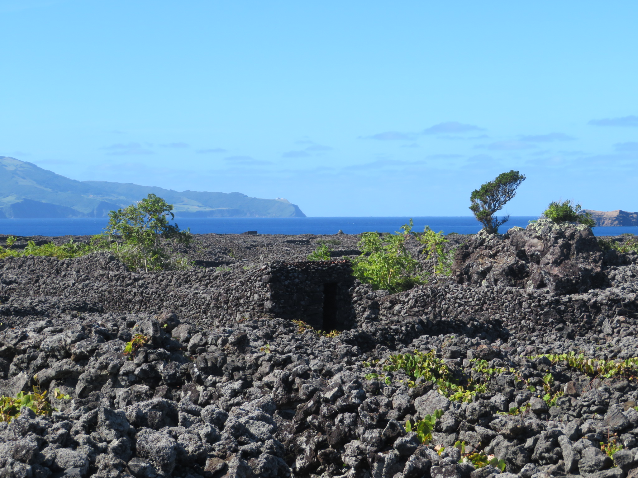 Portugal Azores Pico, Picos Historic Vineyards, Across Vineyards to Faial, Walkopedia