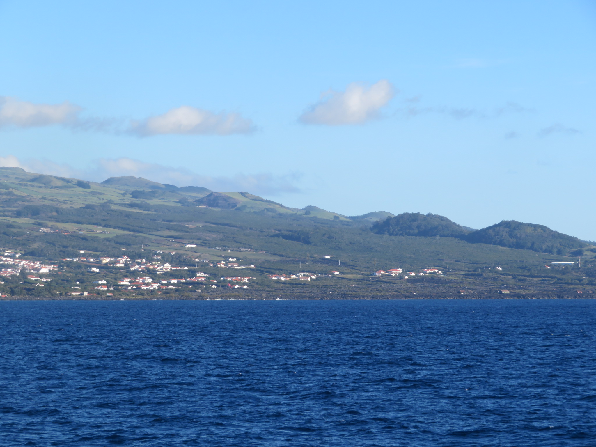 Portugal Azores Pico, Picos Historic Vineyards, The vineyards from the ferry, Walkopedia