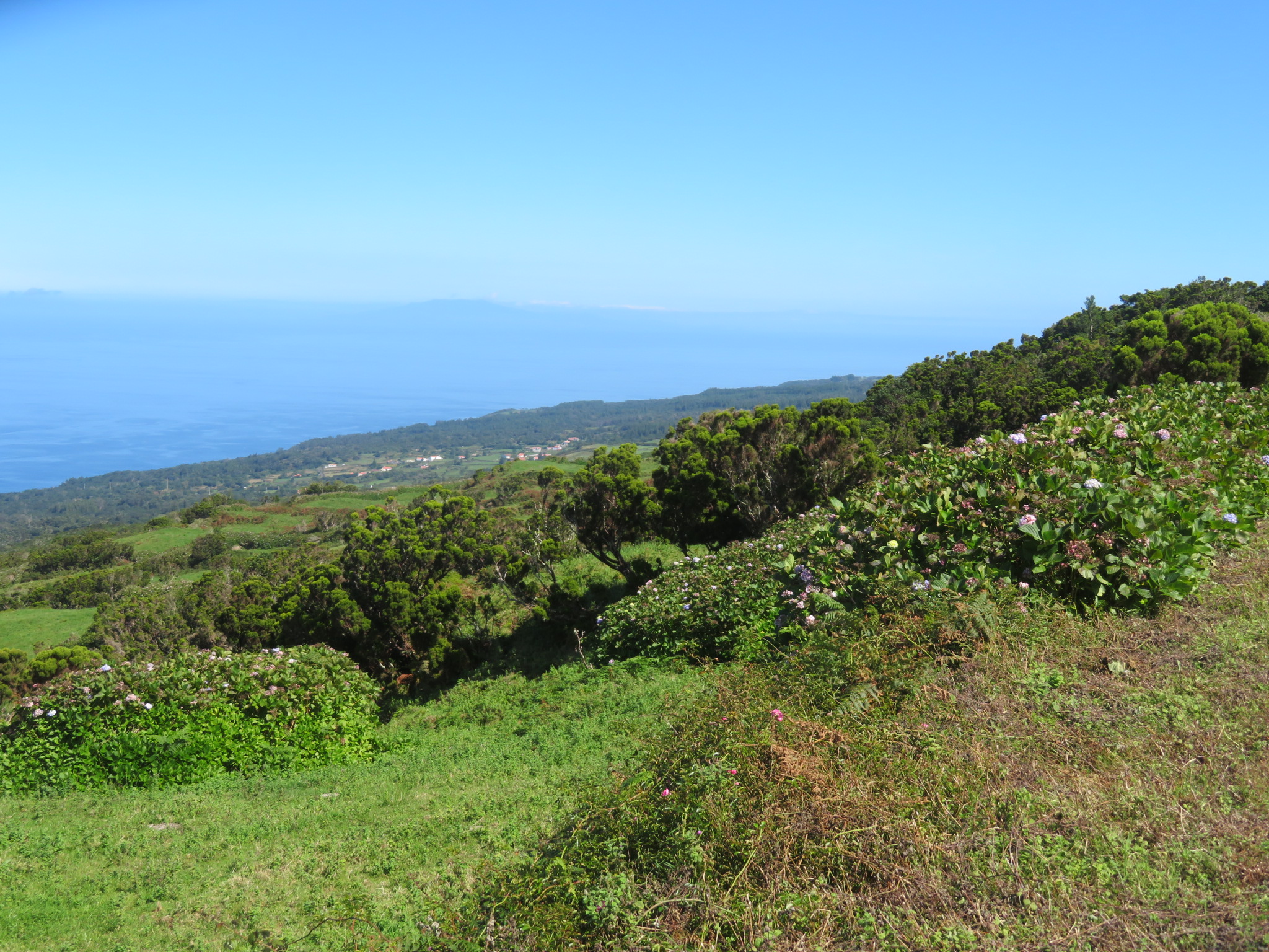 Portugal Azores Sao Jorge, The Central Ridge, N side, Walkopedia