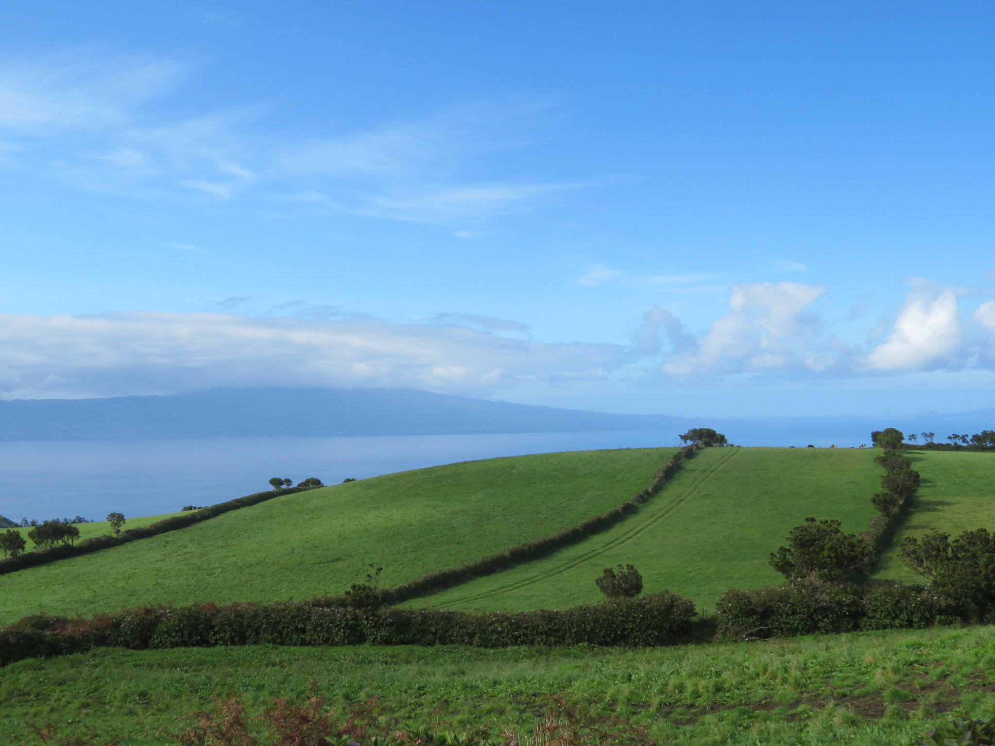 Portugal Azores Sao Jorge, The Central Ridge, Westward walk, Walkopedia