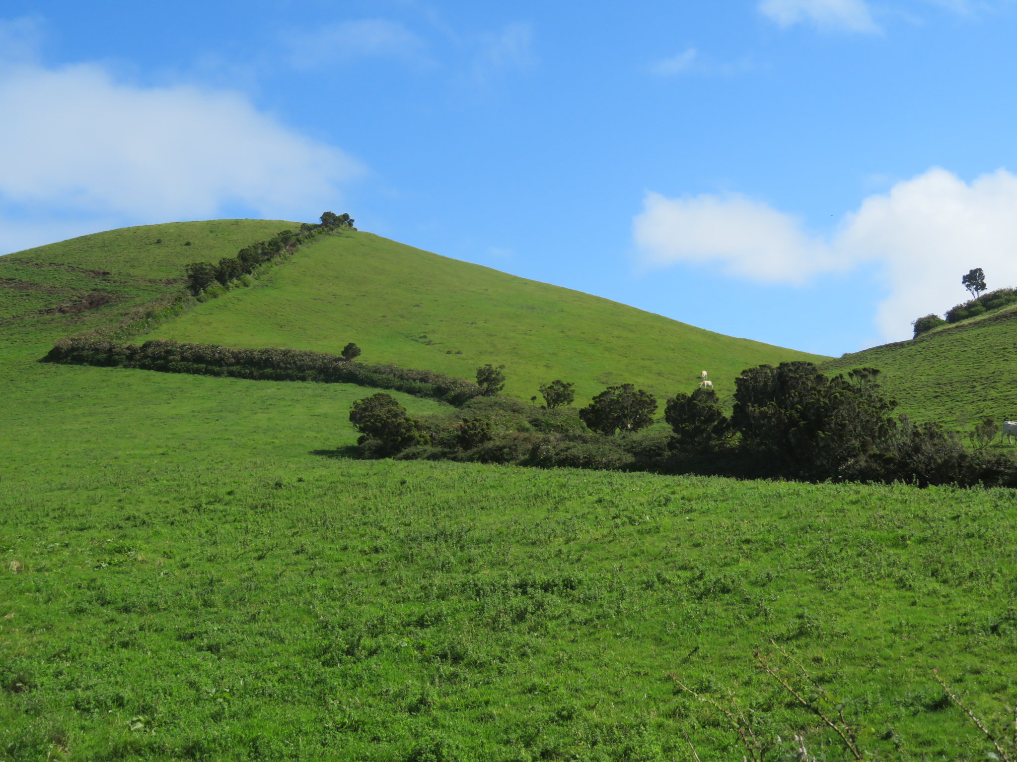 Portugal Azores Sao Jorge, The Central Ridge, Western end, good shapes, Walkopedia