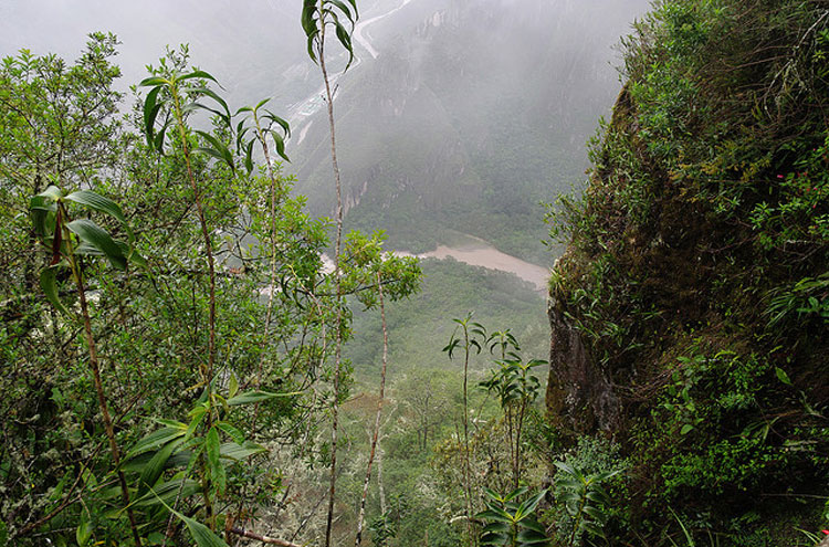 Peru Cuzco/Inca Heartlands Area, Classic Inca Trail, Machu Picchu - © From Flickr user Emmanuel Dyan, Walkopedia