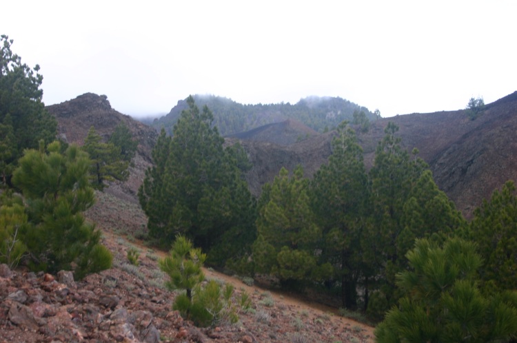 Spain Canary Islands: La Palma, Route of the Volcanoes, Route of the Volcanoes - , Walkopedia