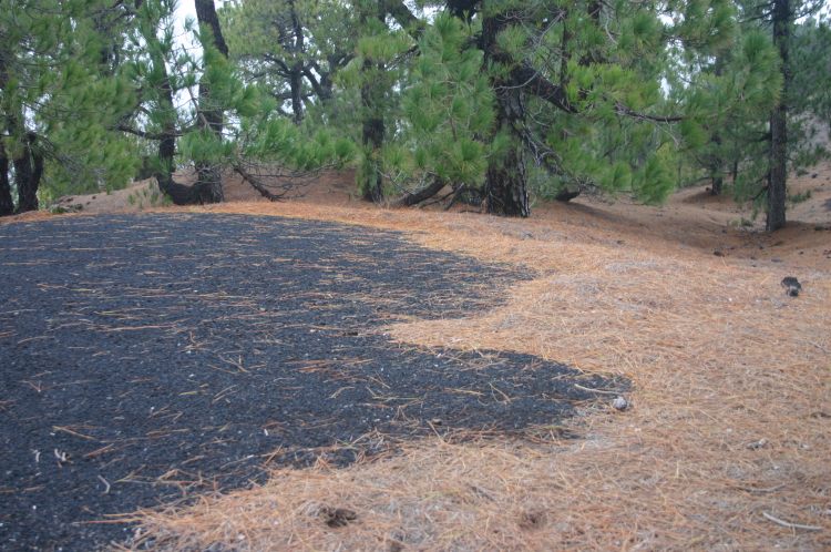 Spain Canary Islands: La Palma, Route of the Volcanoes, Route of the Volcanoes - , Walkopedia