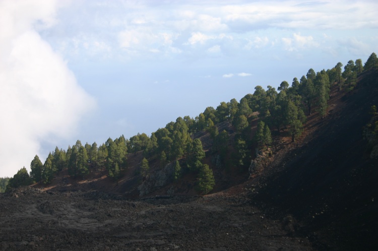 Spain Canary Islands: La Palma, Route of the Volcanoes, Route of the Volcanoes - , Walkopedia