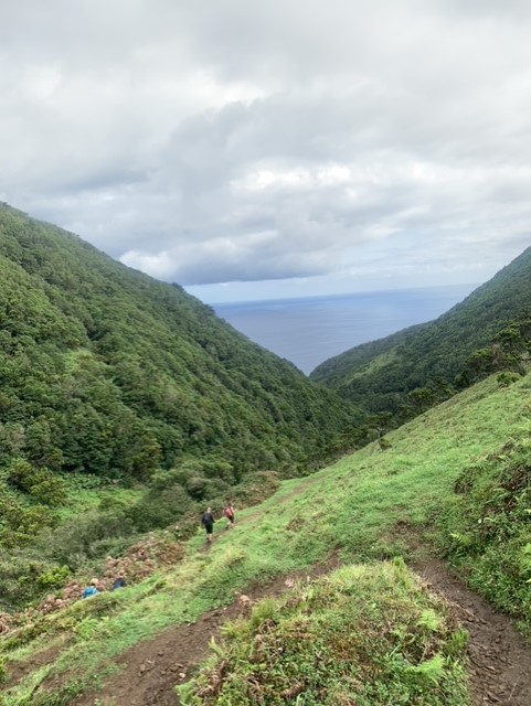 Portugal Azores Sao Jorge, Piquihino da Urze to Faja do Cubres, Valley, Walkopedia