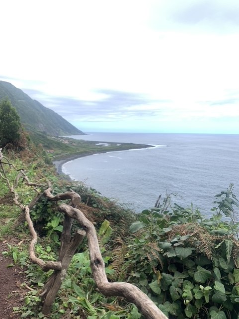 Portugal Azores Sao Jorge, Piquihino da Urze to Faja do Cubres, Track heading for Faja do Cubres, Walkopedia