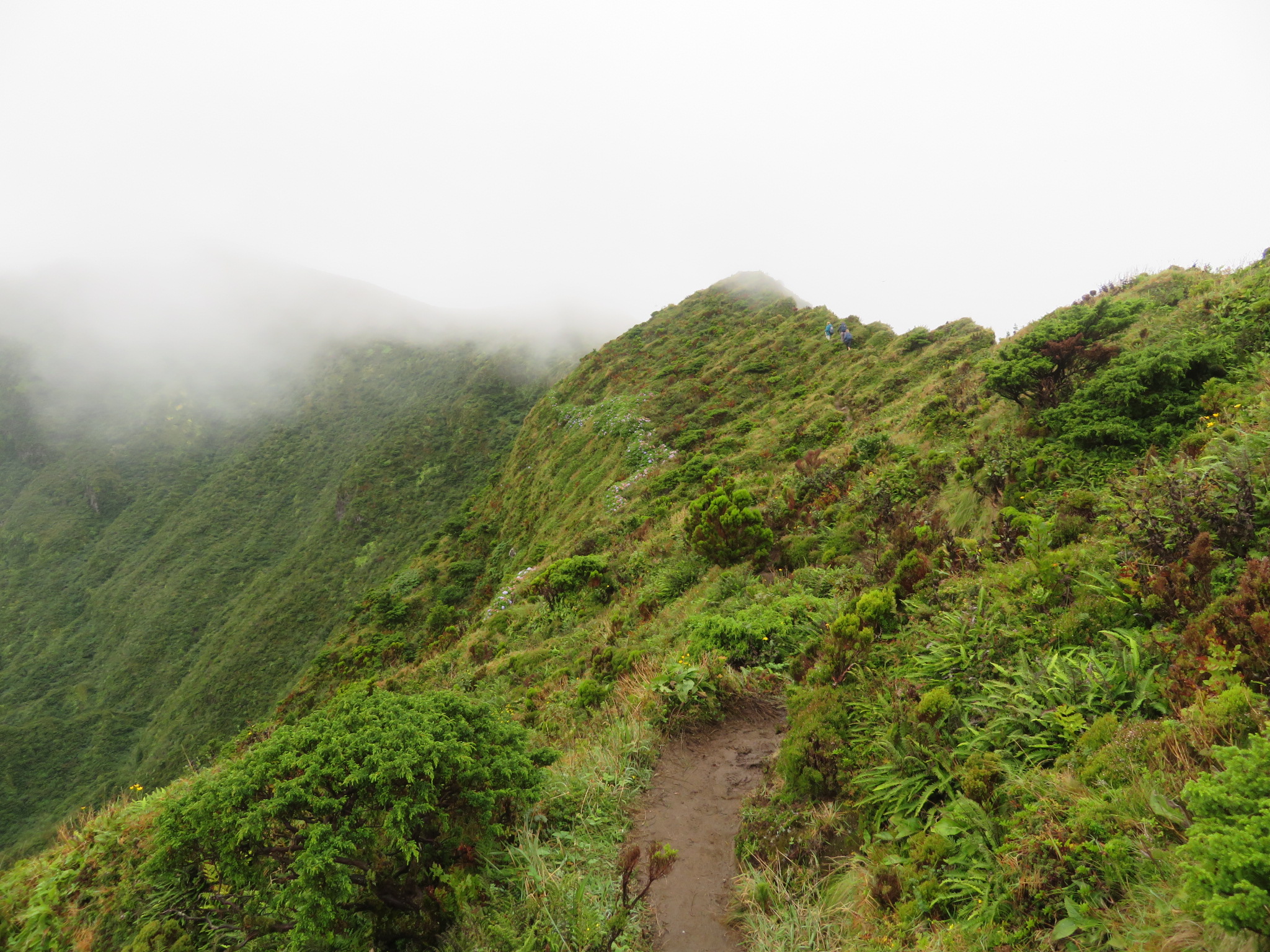 Portugal Azores, Ten Volcanoes Trail, Faial, Just inside caldera rim, Walkopedia