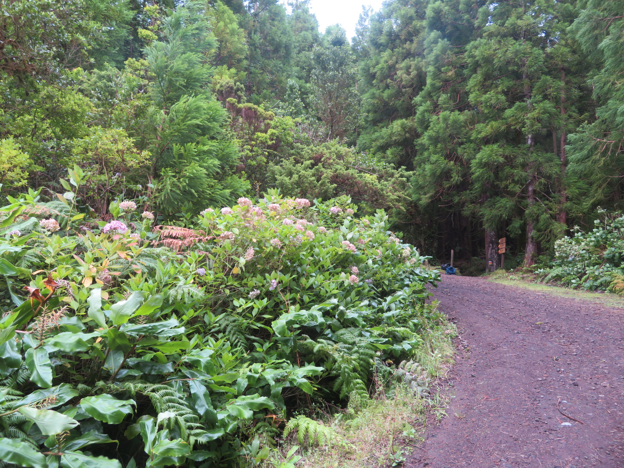 Portugal Azores, Ten Volcanoes Trail, Faial, , Walkopedia