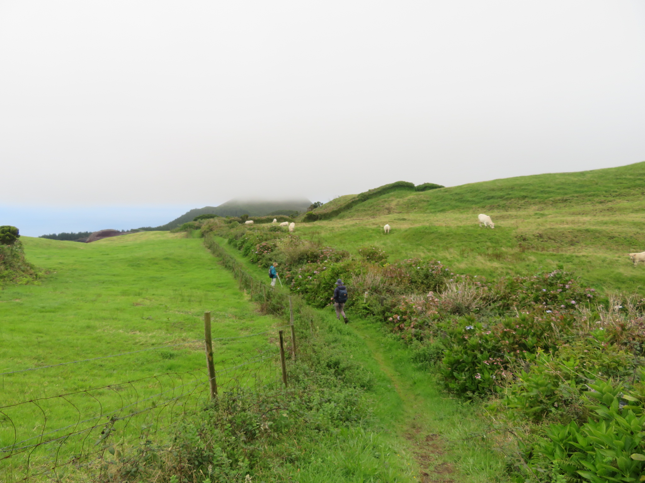 Portugal Azores, Ten Volcanoes Trail, Faial, , Walkopedia