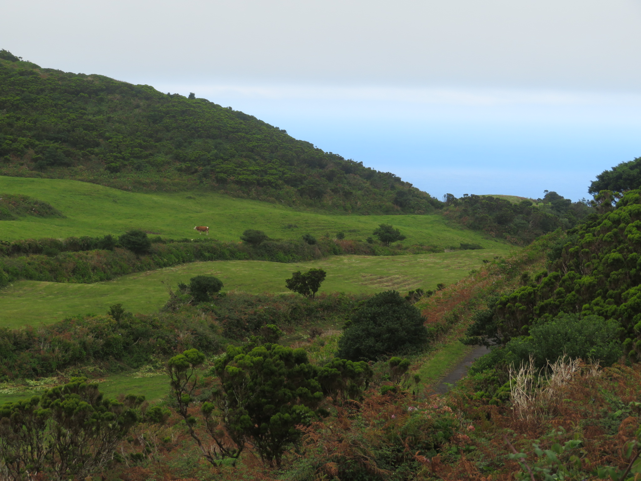 Portugal Azores, Ten Volcanoes Trail, Faial, , Walkopedia