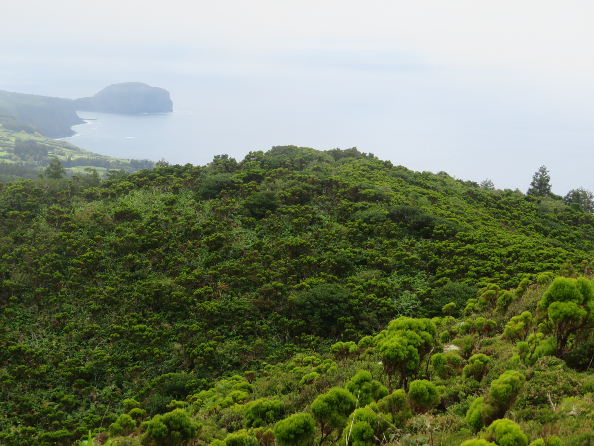 Portugal Azores, Ten Volcanoes Trail, Faial, , Walkopedia