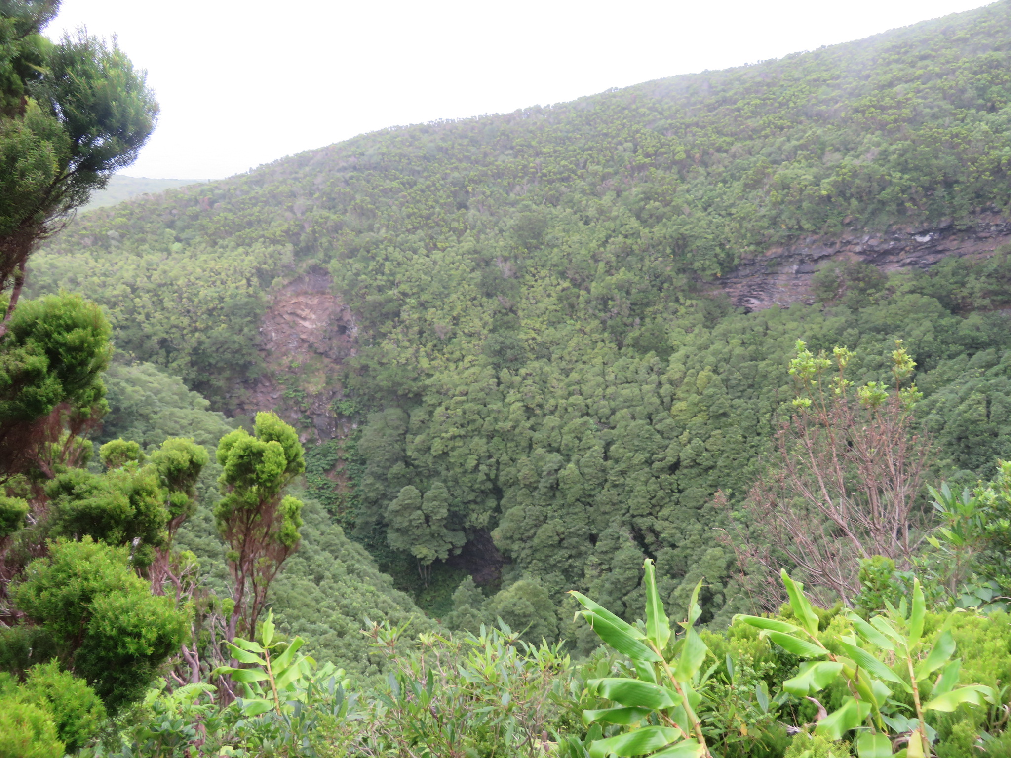 Portugal Azores, Ten Volcanoes Trail, Faial, Deep crater, Walkopedia