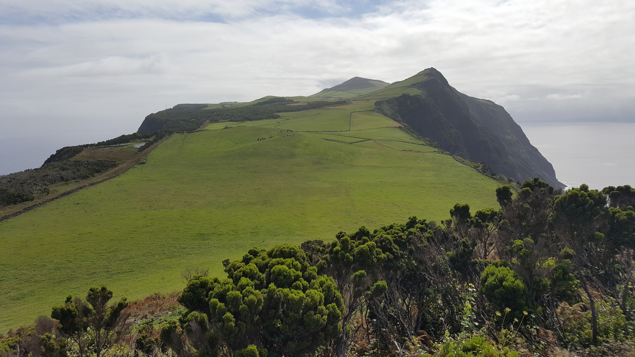 Portugal Azores Sao Jorge, Sao Jorge , Looking east along the Rosais peninsula, Walkopedia