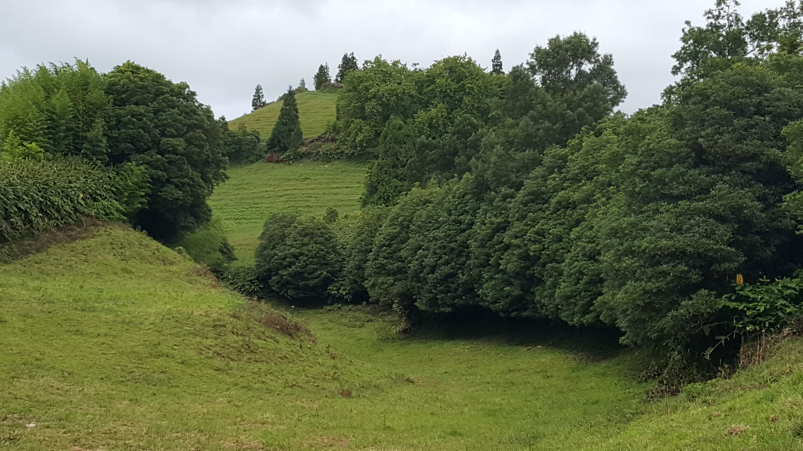 Portugal Azores Sao Miguel, Rota da Agua and Janela do Inferno , Lovely farmland, Walkopedia