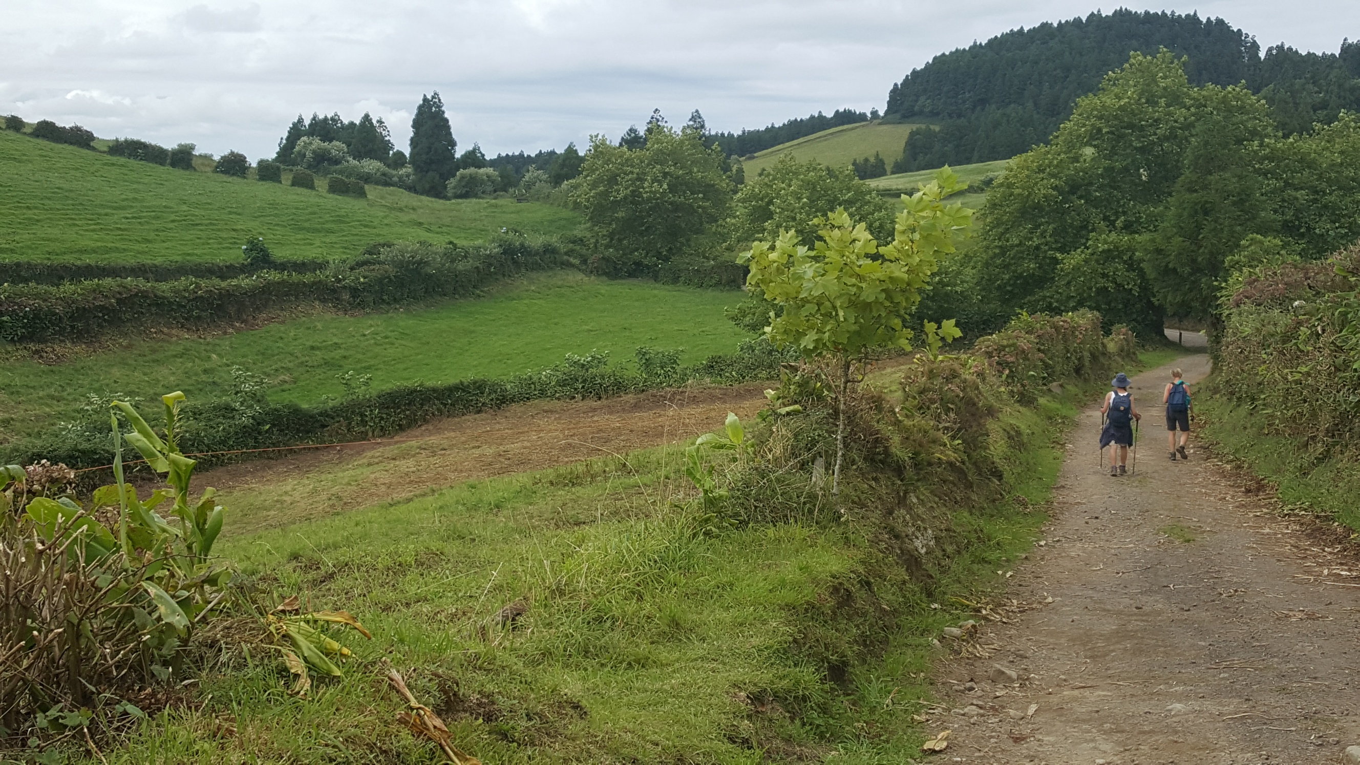 Portugal Azores Sao Miguel, Rota da Agua and Janela do Inferno , exit track, Walkopedia