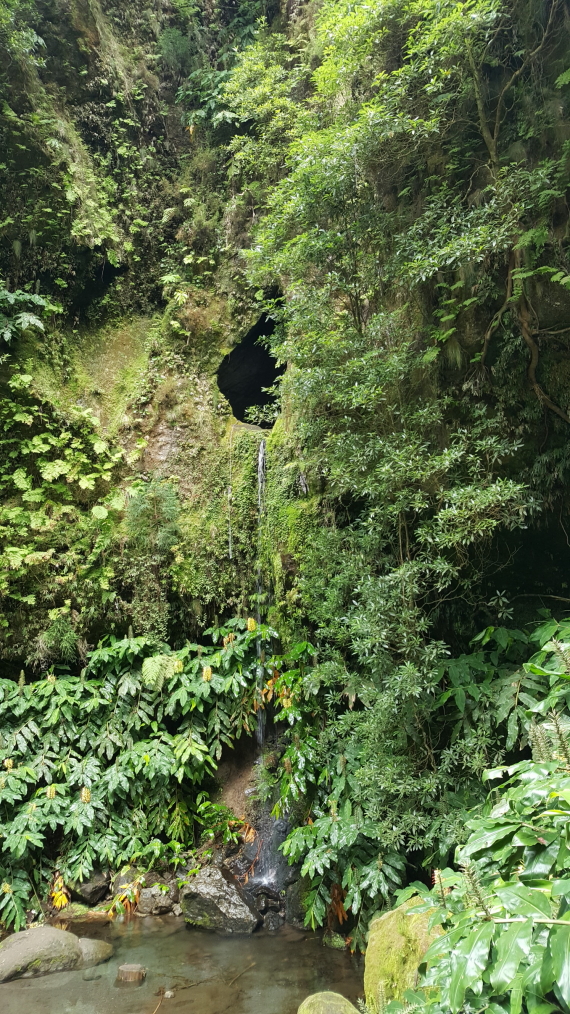 Portugal Azores Sao Miguel, Rota da Agua and Janela do Inferno , Jal do Inferno waterfall, Walkopedia