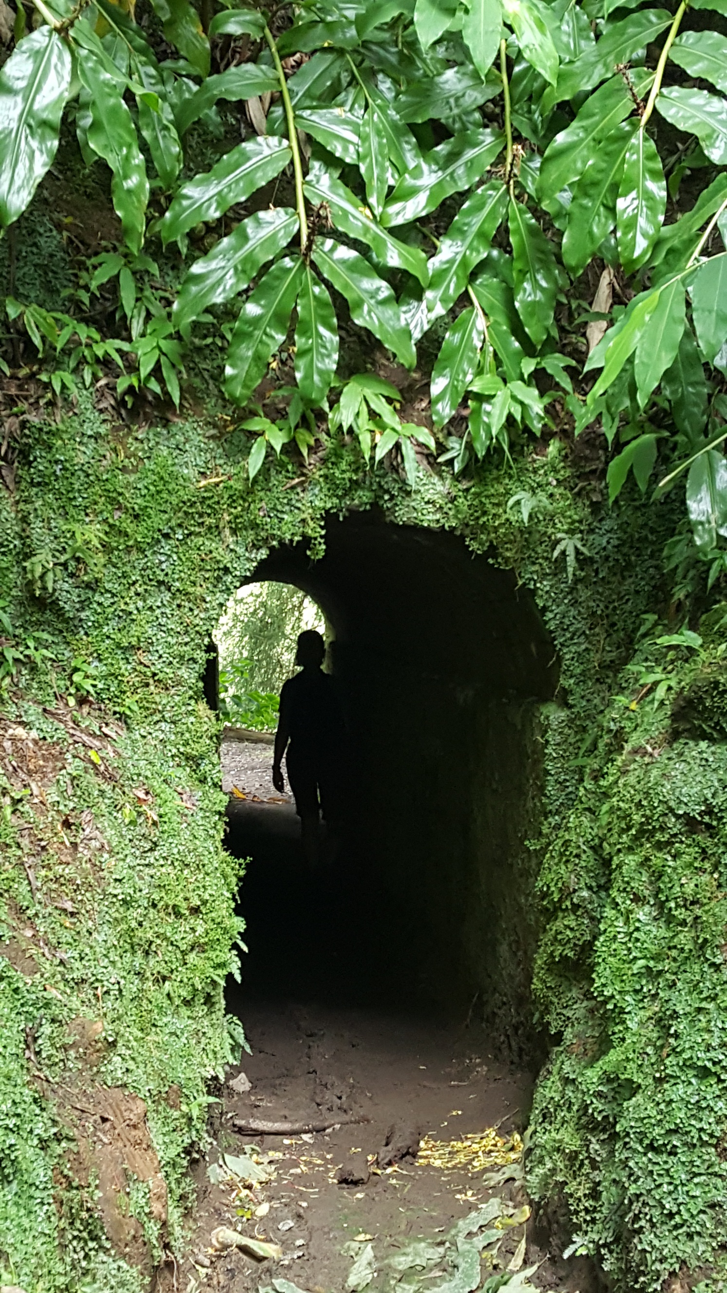 Portugal Azores Sao Miguel, Rota da Agua and Janela do Inferno , Tunnel, Walkopedia