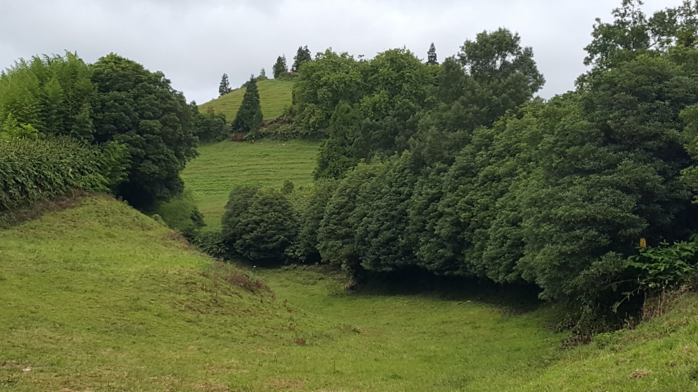 Portugal Azores Sao Miguel, Sao Miguel, Lovely farmland Janela do Inferno walk, Walkopedia