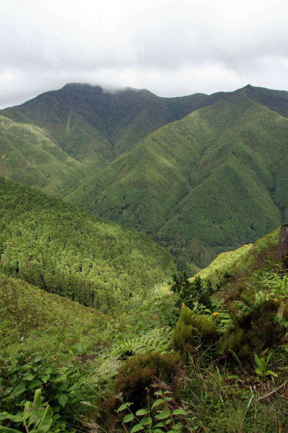 Portugal Azores Sao Miguel, Sao Miguel, S Miguel, Pico da Var, Walkopedia