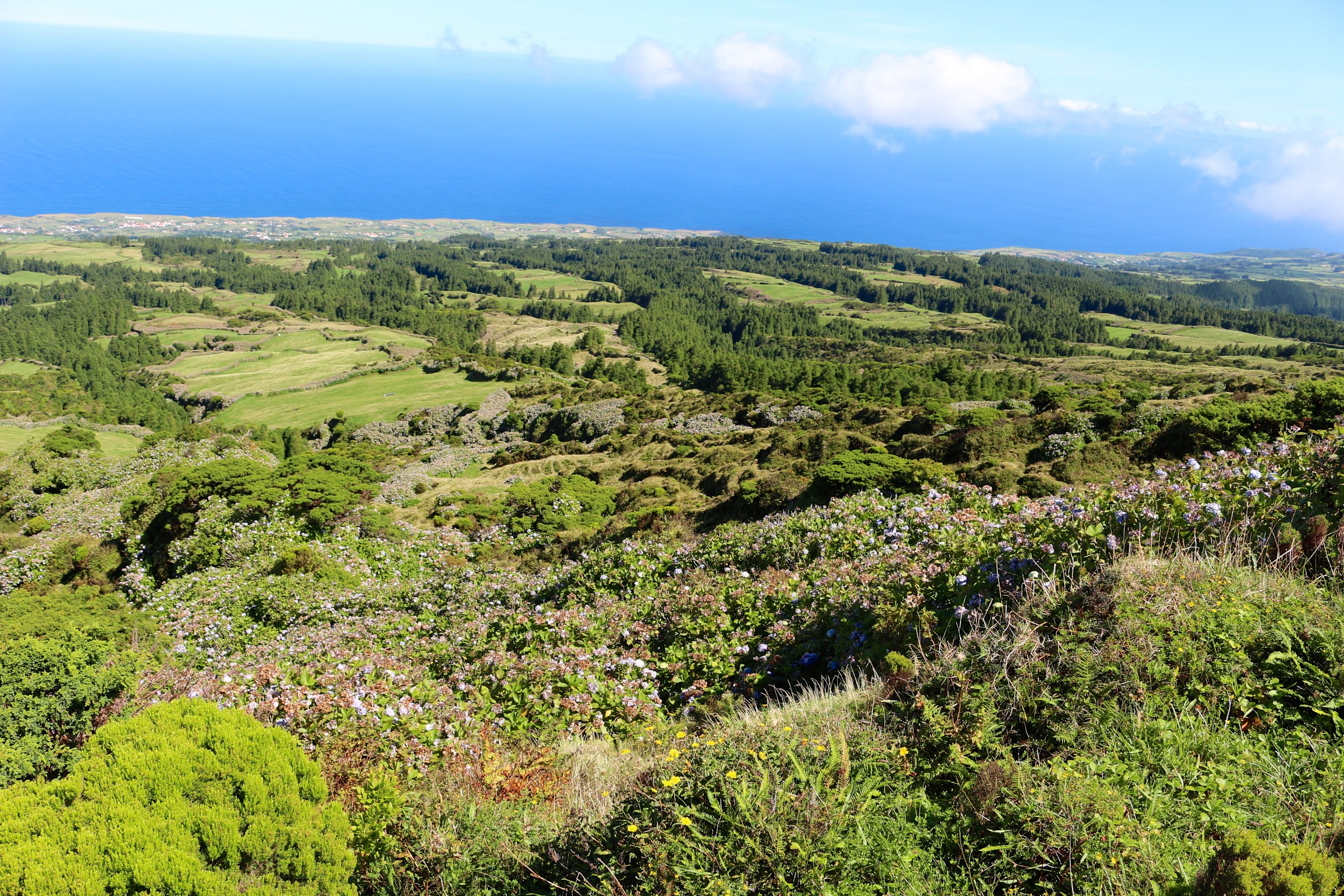 Portugal Azores, Caldeira do Faial, , Walkopedia