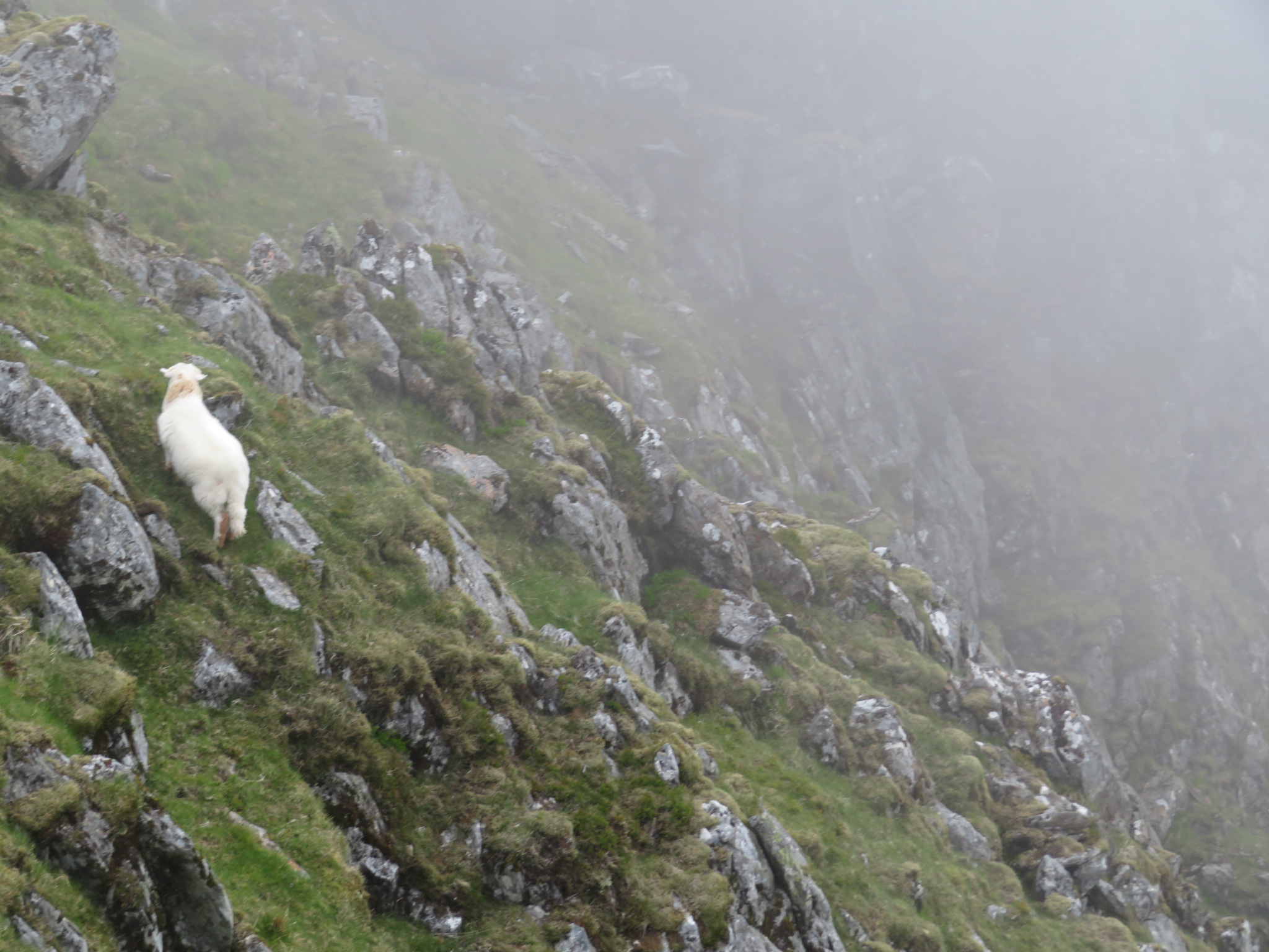 United Kingdom Wales Snowdonia, Glyderau from Pen-y-Pass, , Walkopedia