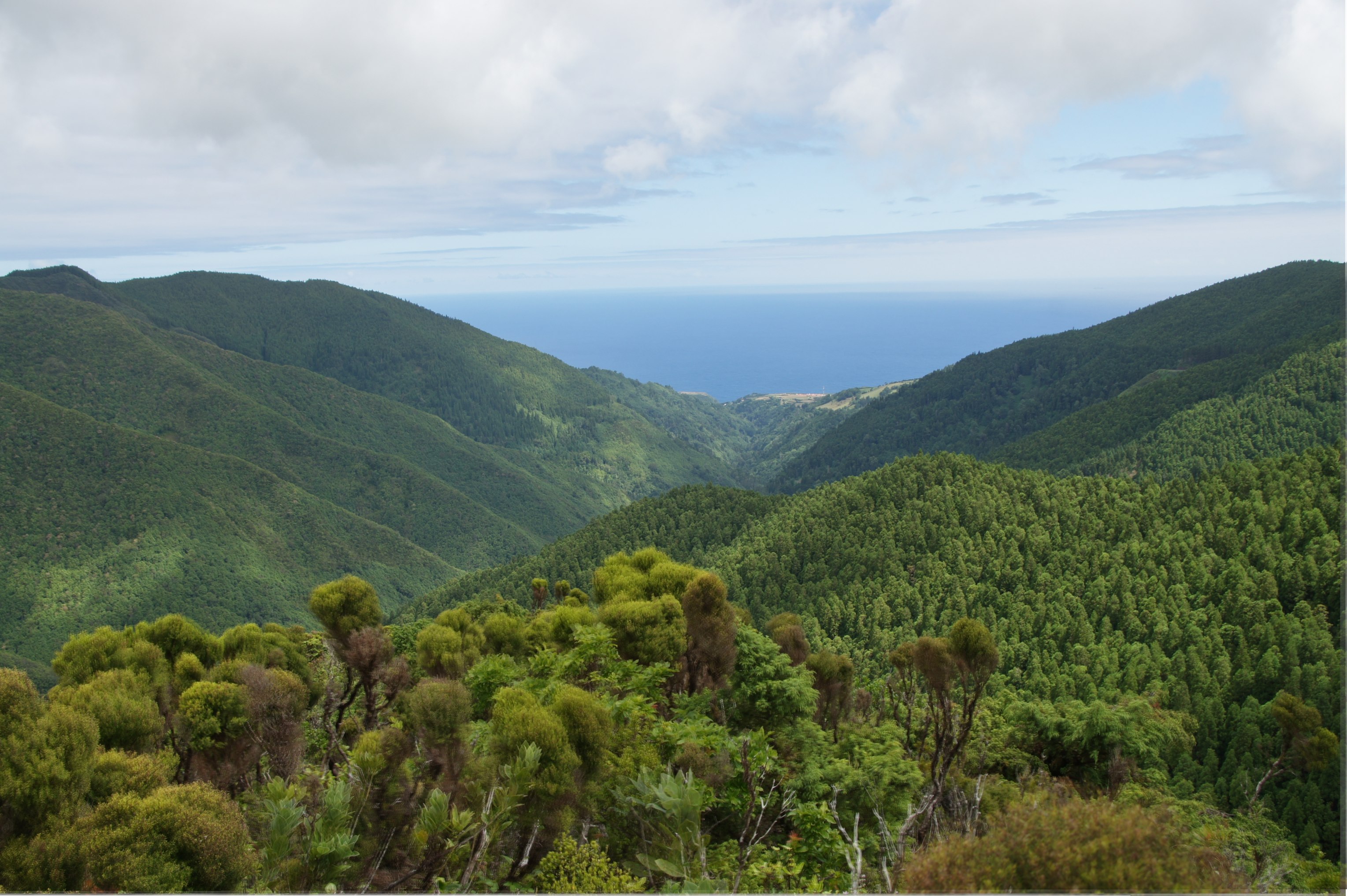 Portugal Azores Sao Miguel, Eastern High Ridge and Pico da Vara, , Walkopedia