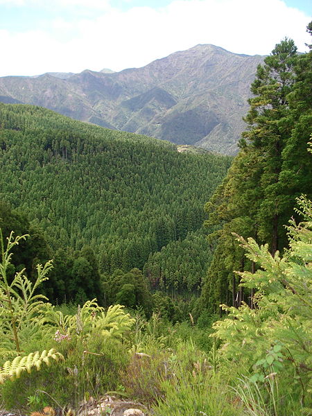 Eastern High Ridge and Pico da Vara: © Wikimedia user Ruben JC Furtado...