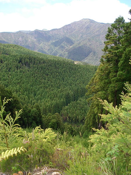 © Wikimedia user Ruben JC Furtado... Eastern High Ridge and Pico da Vara: © Wikimedia user Ruben JC Furtado...