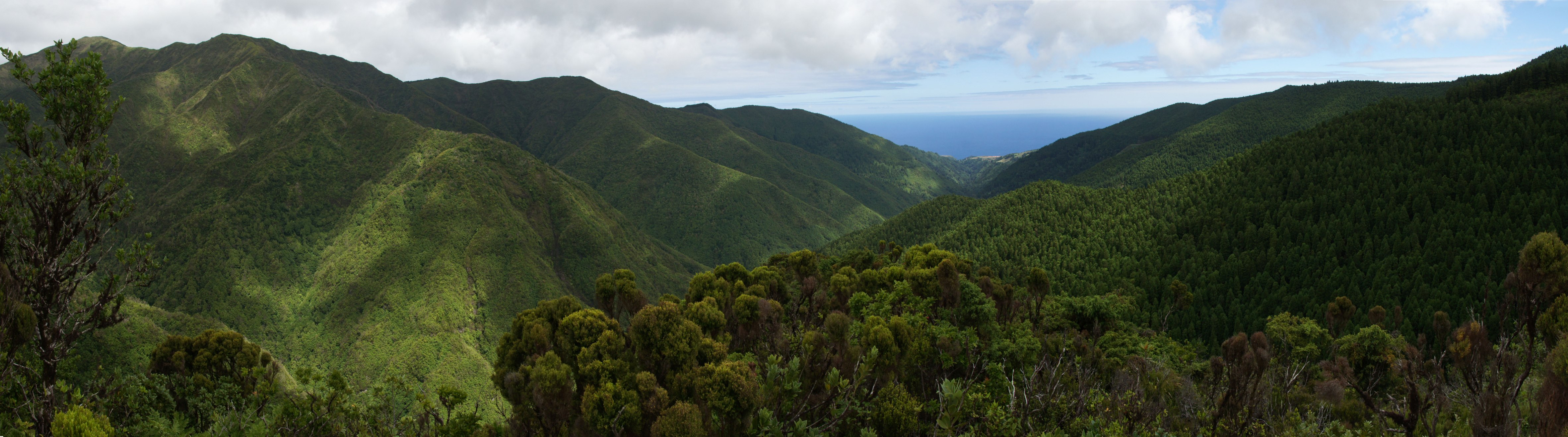 Portugal Azores Sao Miguel, Eastern High Ridge and Pico da Vara, , Walkopedia