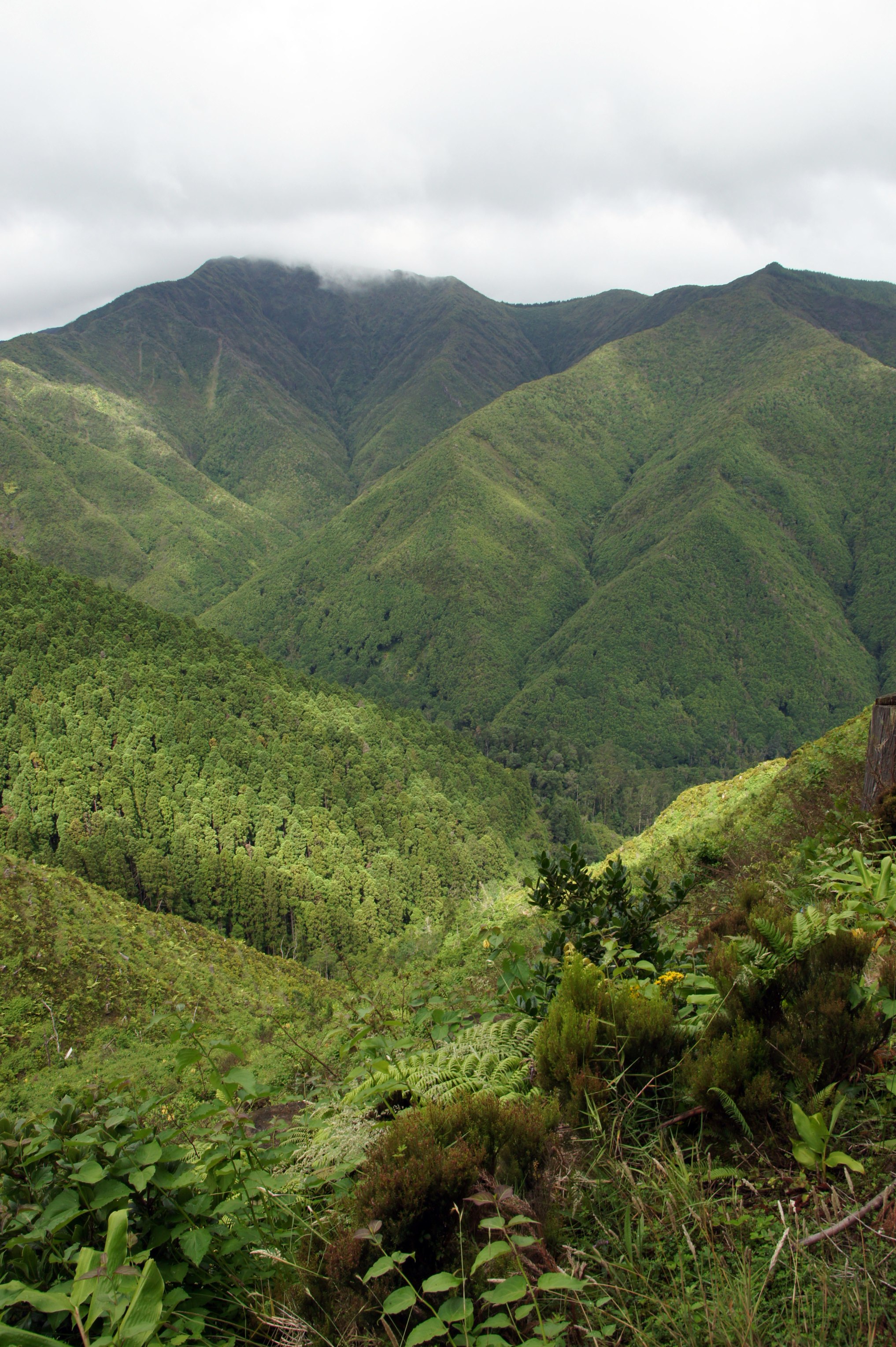 Portugal Azores Sao Miguel, Eastern High Ridge and Pico da Vara, , Walkopedia