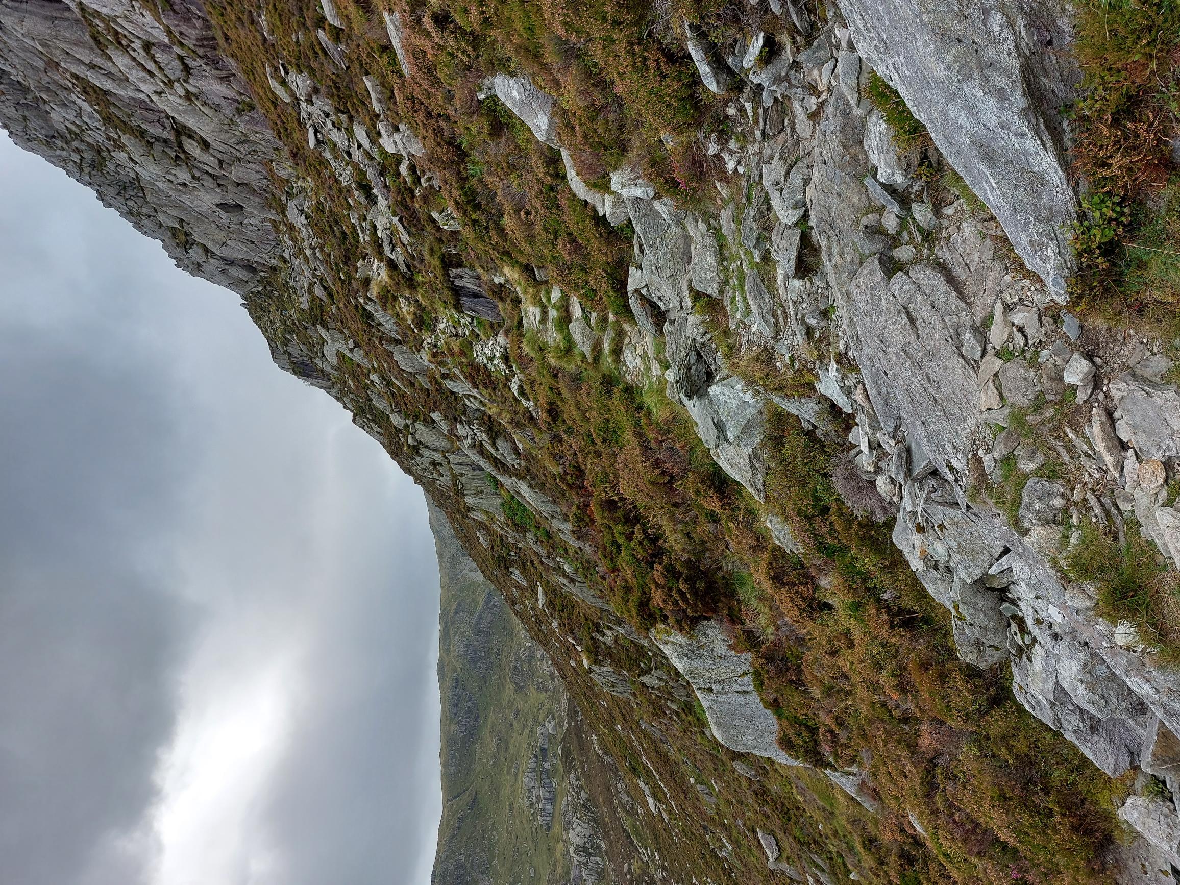 United Kingdom Wales Snowdonia, Tryfan, Heather ridge, Walkopedia