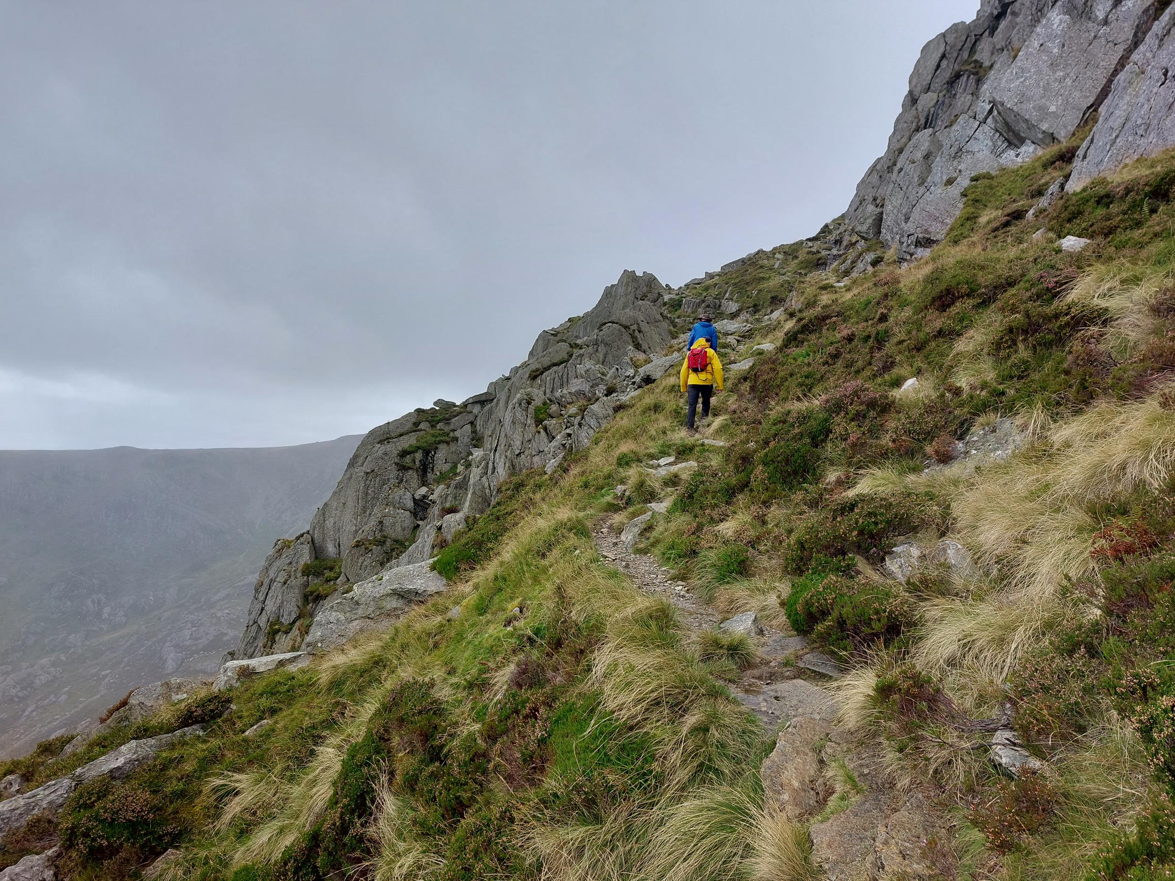 United Kingdom Wales Snowdonia, Tryfan, On Heather ridge, Walkopedia