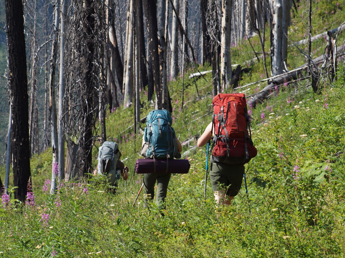 Canada Brit Col: Kootenay, Rockwall Highline Trail, Floe Lake, Kootenay National Park, Walkopedia