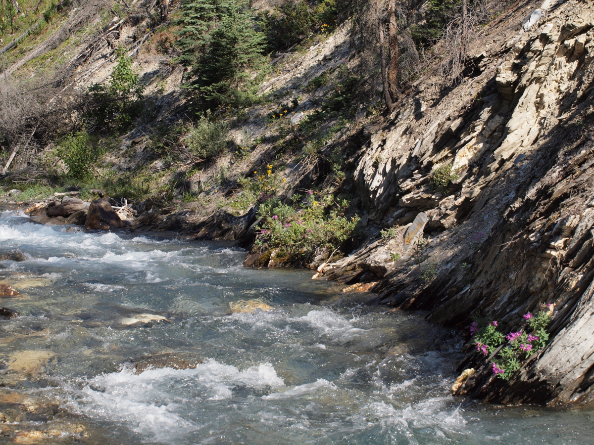 Canada Brit Col: Kootenay, Rockwall Highline Trail, Floe Lake, Kootenay National Park, Walkopedia