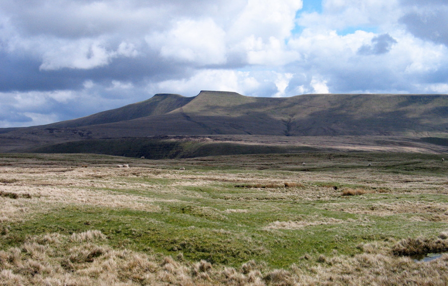 United Kingdom Wales Brecon Beacons, Fforest Fawr , Summit area of Craig Cerrig-gleisiad towards Pen Y Fan, Walkopedia