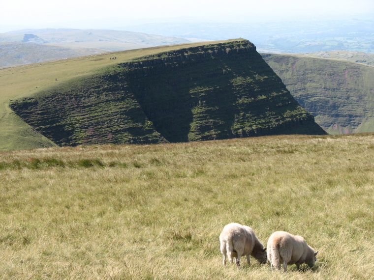 United Kingdom Wales Brecon Beacons, The Beacons Way, Black Mt Picws Du, Walkopedia