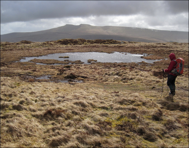 United Kingdom Wales Brecon Beacons, The Beacons Way, Fforest F, Pen Y F from Fan Frynych, Walkopedia