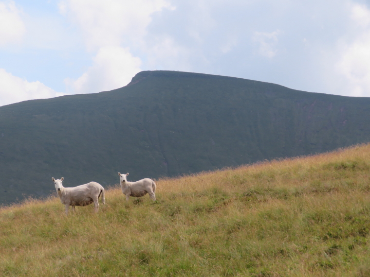 United Kingdom Wales Brecon Beacons, Brecon Beacons, Pen Y Fan, Walkopedia