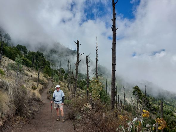 Guatemala Western Volcanic Highlands, Volcan Acatenango and Volcan Fuego, High open pine forest traverse, Walkopedia