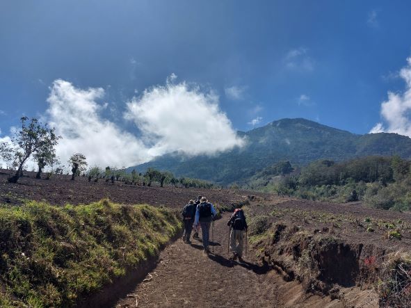 Guatemala Western Volcanic Highlands, Volcan Acatenango and Volcan Fuego, Farmland, Walkopedia