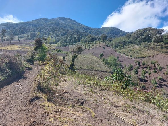 Guatemala, Volcan Acatenango and Volcan Fuego, Farmland, Walkopedia
