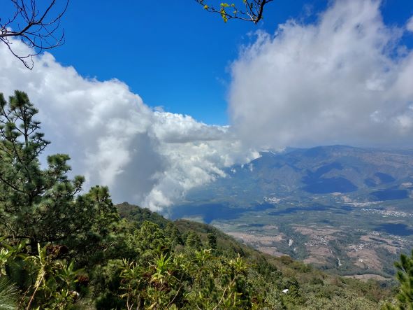 Guatemala Western Volcanic Highlands, Volcan Acatenango and Volcan Fuego, Forest, looking back, Walkopedia