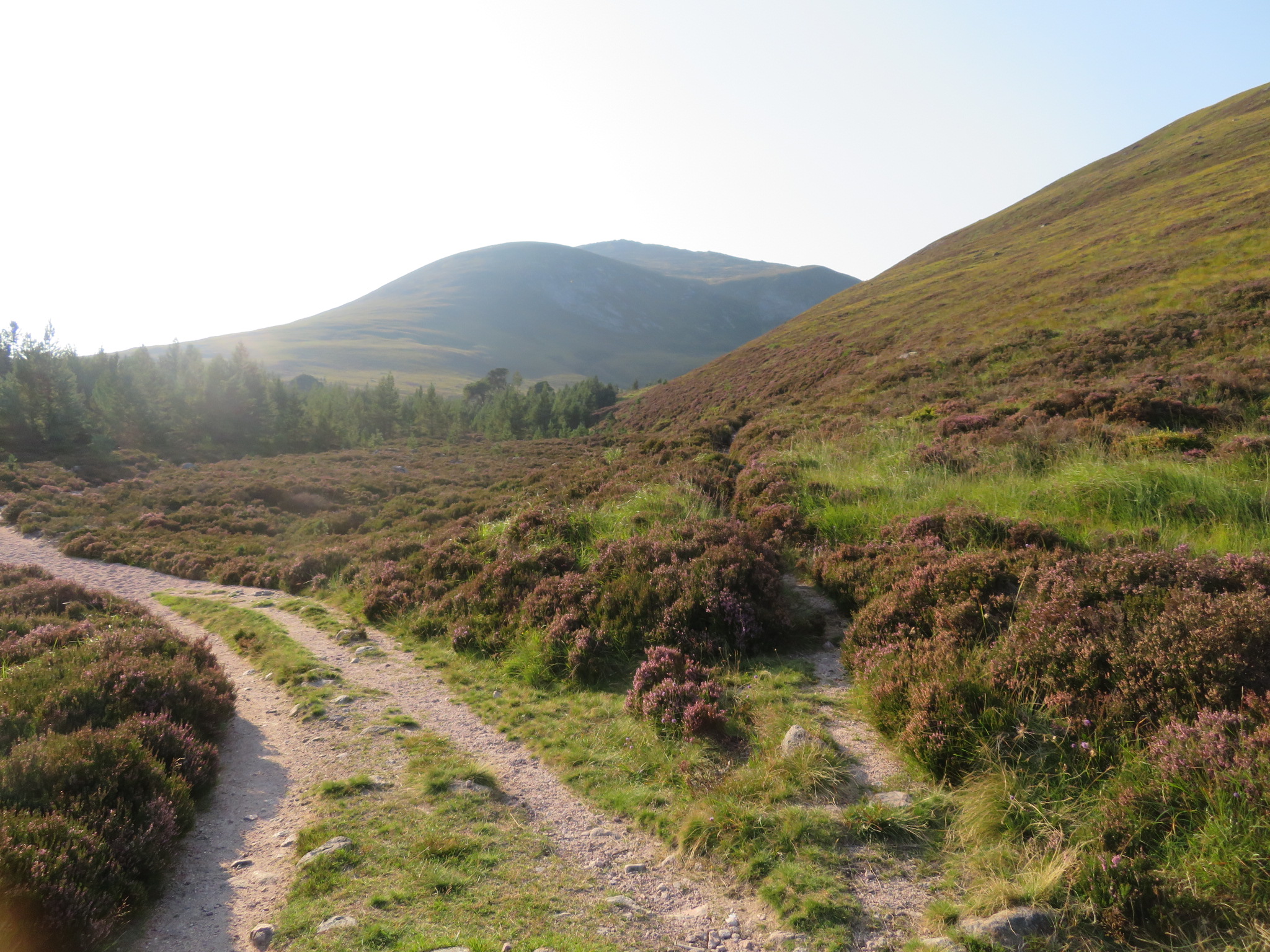 United Kingdom Scotland Cairngorms, Sron Riach ridge to Ben Macdui	, Right turn to SR ridge, Glen Lui, Walkopedia