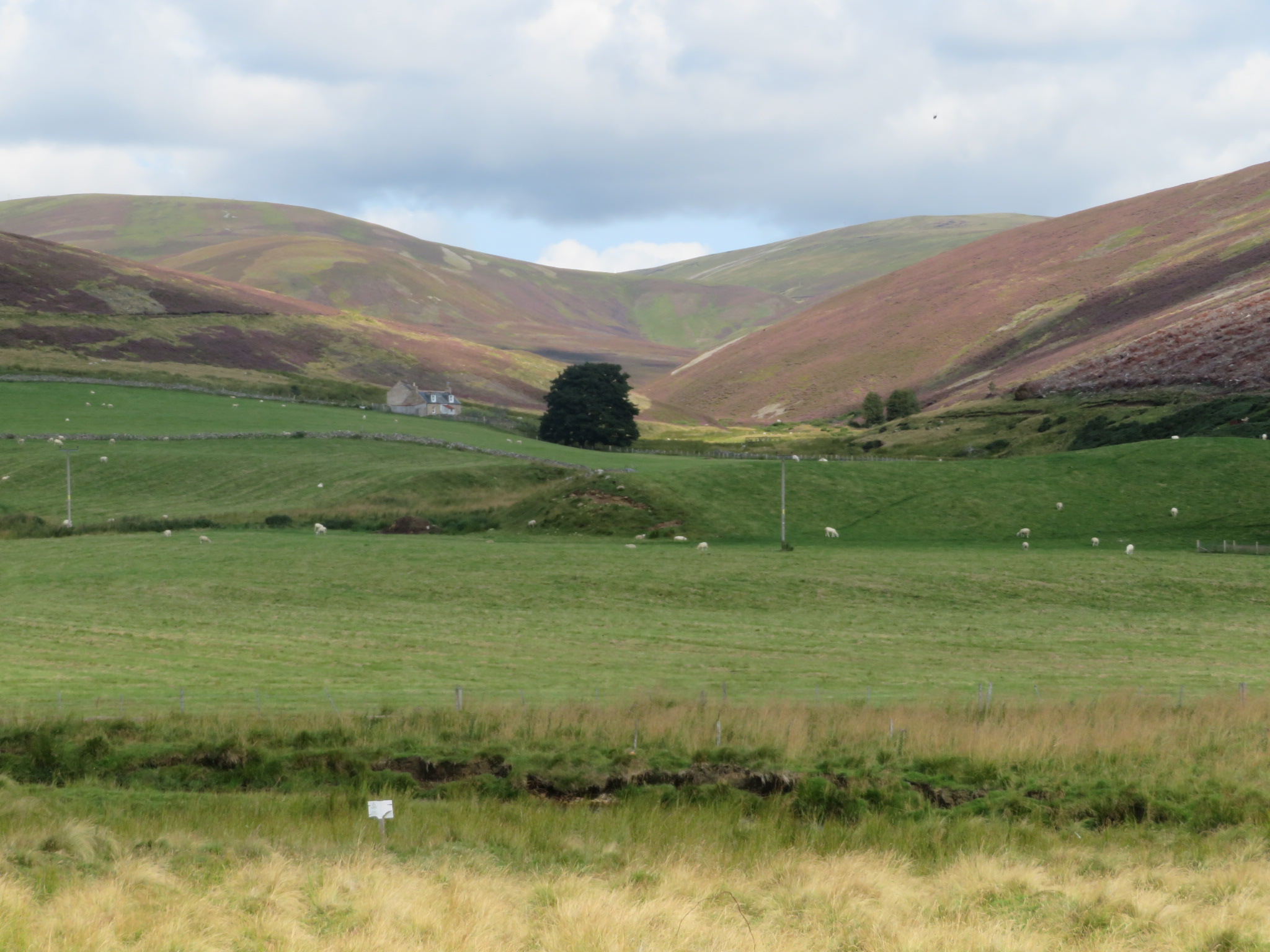 United Kingdom Scotland Cairngorms, Head of the Don Valley, , Walkopedia