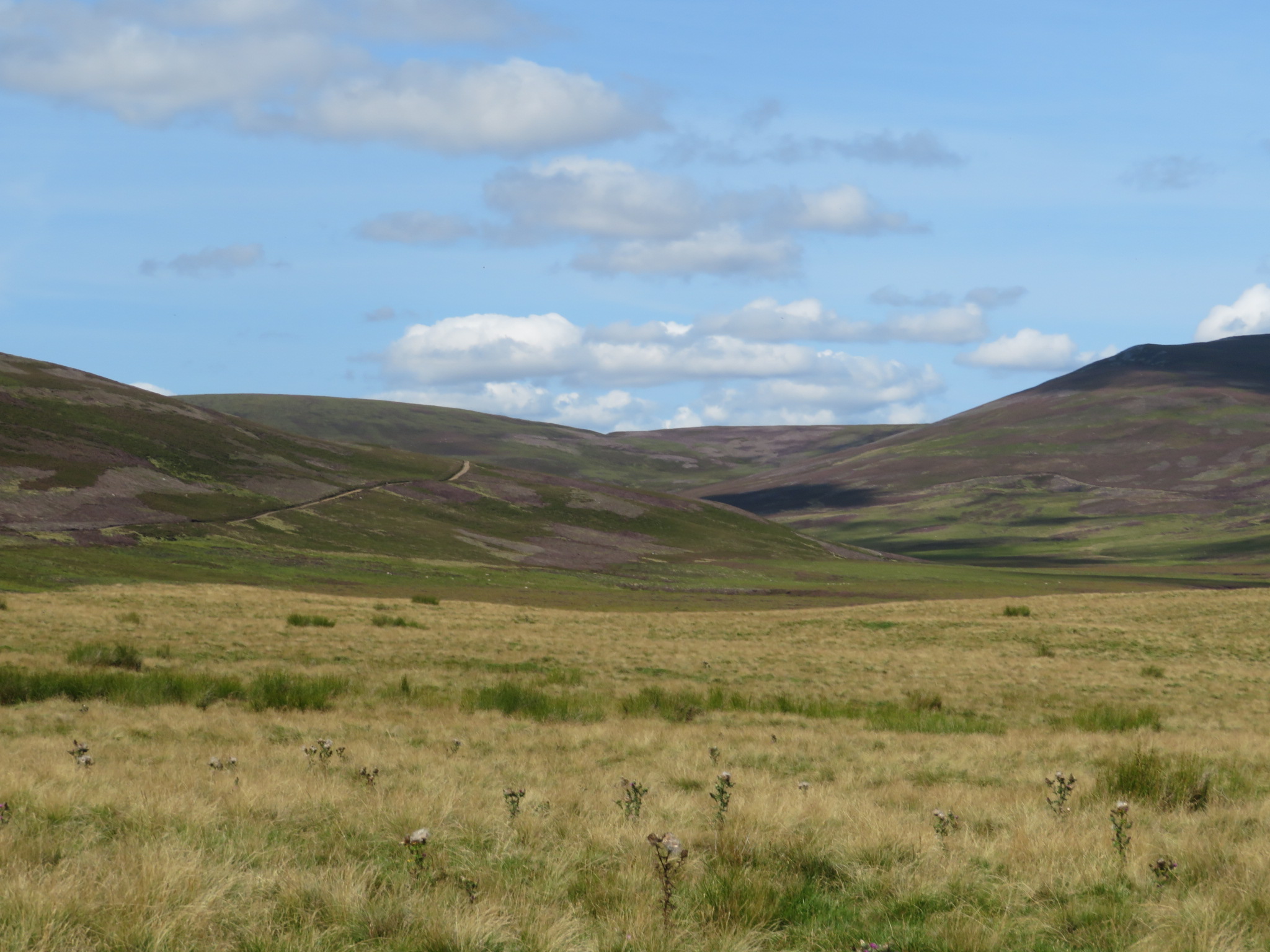 United Kingdom Scotland Cairngorms, Head of the Don Valley, , Walkopedia